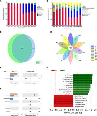 Cocultivation of Chinese prescription and intestine microbiota: SJZD alleviated the major symptoms of IBS-D subjects by tuning neurotransmitter metabolism